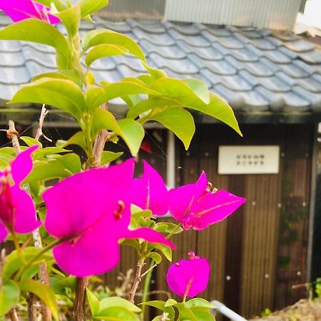 Guesthouse Nichinan - Vacation Stay 82905V Exteriör bild